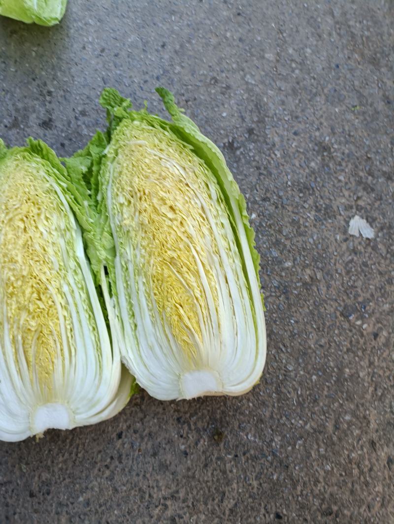 大白菜白又了白