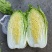 大白菜白又了白