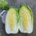 大白菜白又了白