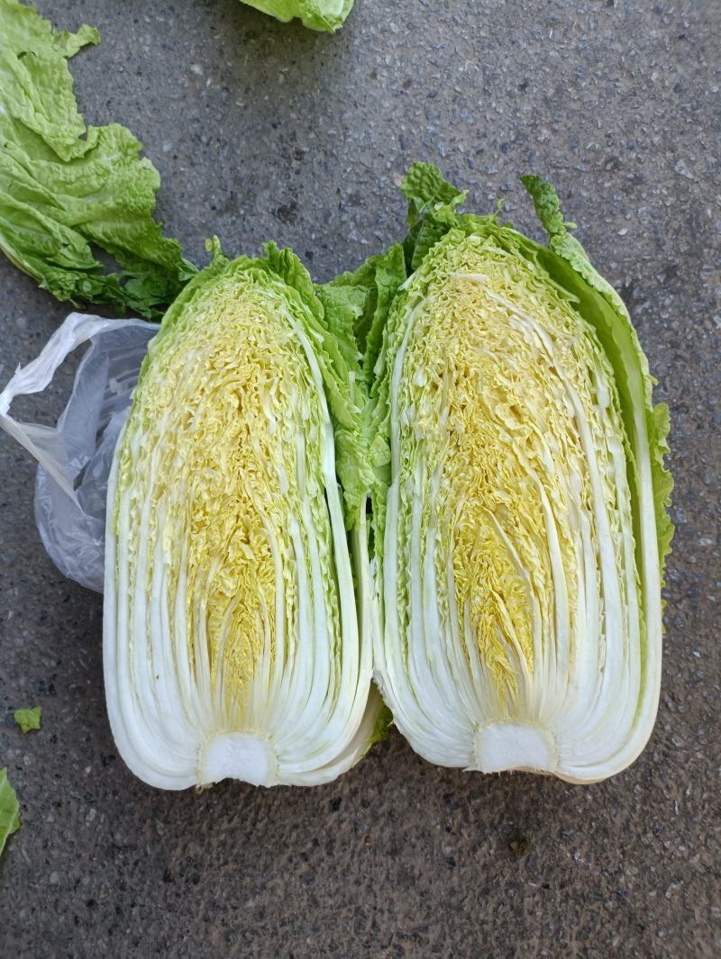 大白菜白又了白