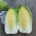 大白菜白又了白