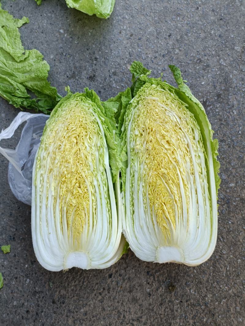 大白菜白又了白