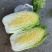 大白菜白又了白