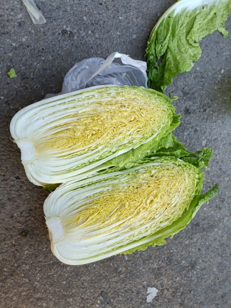 大白菜白又了白