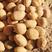陕北沙漠小土豆黄心优质货品，榆林地区土豆产地优选供应！