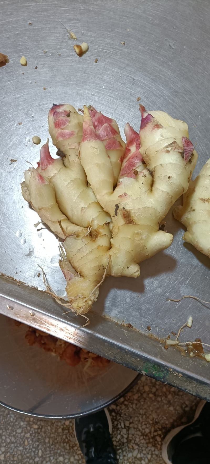 山东生鲜姜大黄姜大量销售，代存代销，品种保证，价格便宜