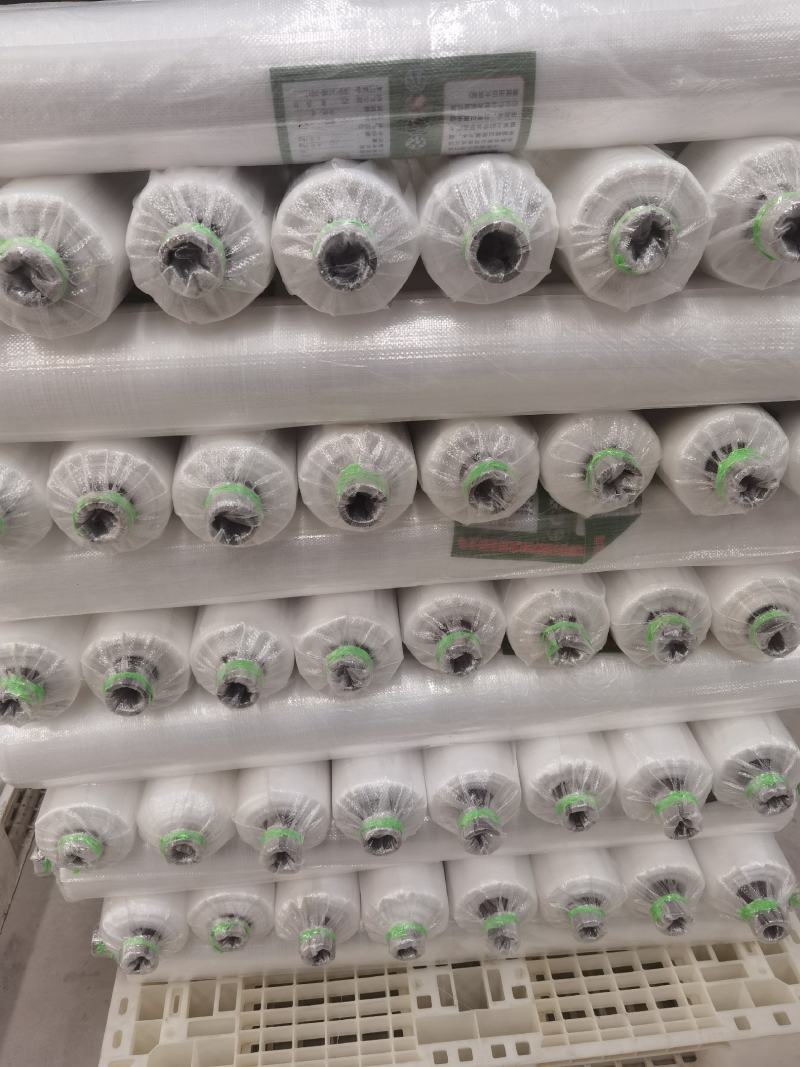 厂家直供小拱棚白色地膜，全黑地膜，银黑地膜，小棚葡萄膜！