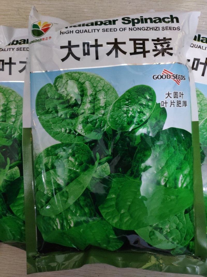 大叶木耳菜种子，500克，叶片肥厚，耐抽苔。株高约14.