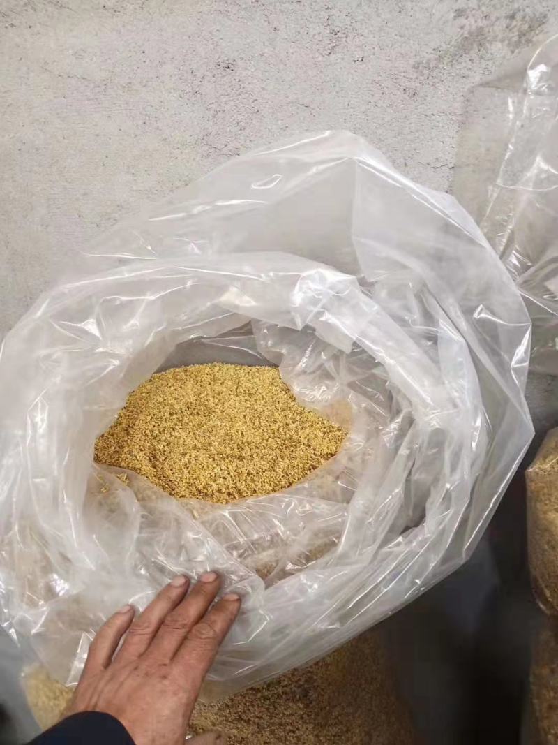 鲜桂花，干桂花，无硫磺，自产自销物美价廉