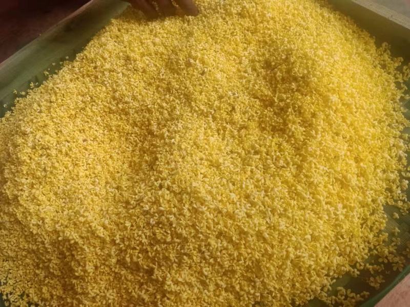 鲜桂花，干桂花，无硫磺，自产自销物美价廉