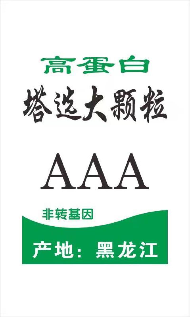 大颗粒6.5长孔分粒机分的，蛋白41%～42%，四遍塔选