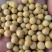 东升1号二芽豆，蛋白42%左右，芽率98以上水分13个