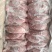 母猪腱子，前腱，后腱，负腱，内腱，龟腱，龟肉，鼠腱