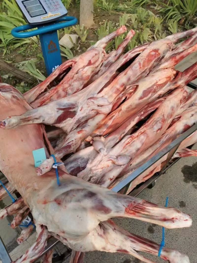 烤全羊，烧烤全羊，整羊，鲜羊肉，化冻即是鲜品