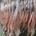 烤全羊，烧烤全羊，整羊，鲜羊肉，化冻即是鲜品