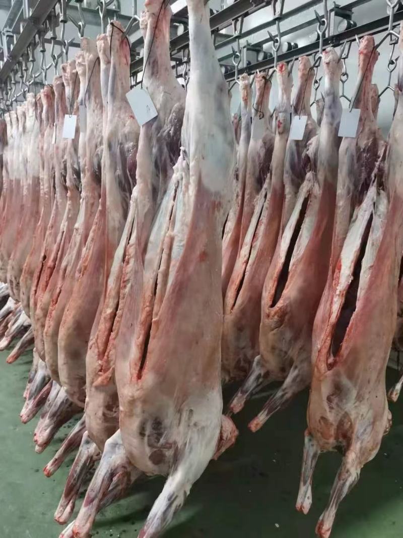 烤全羊，烧烤全羊，整羊，鲜羊肉，化冻即是鲜品