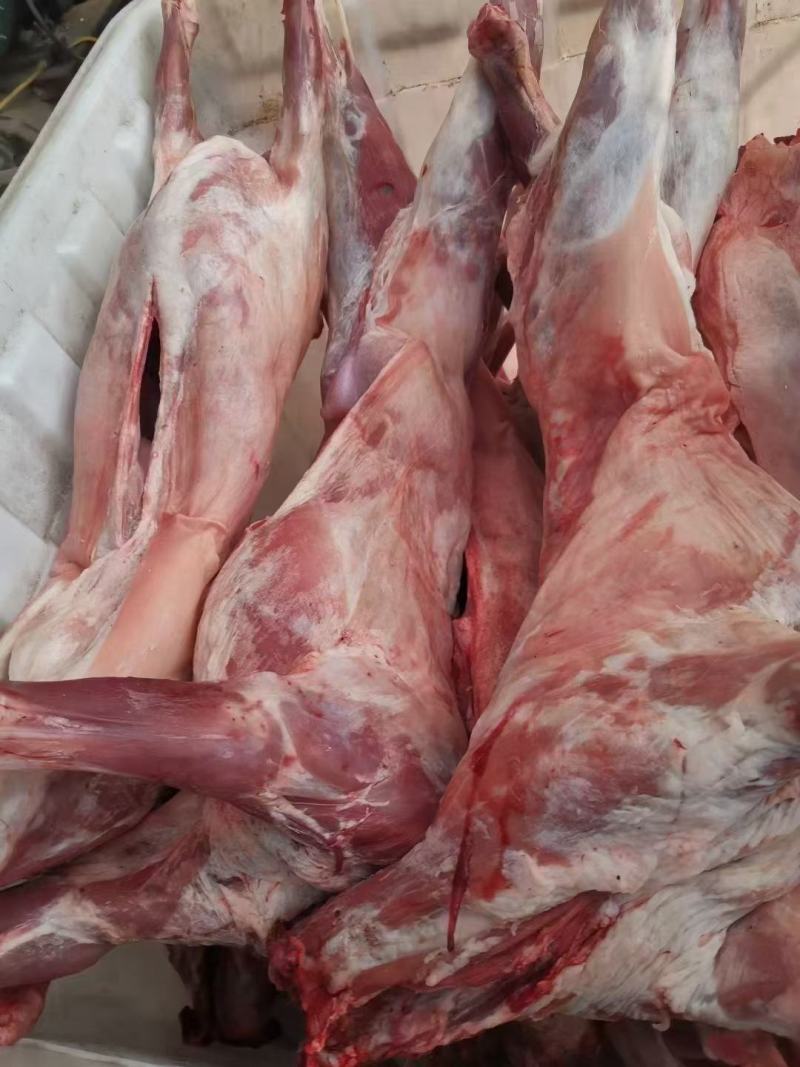 烤全羊，烧烤全羊，整羊，鲜羊肉，化冻即是鲜品