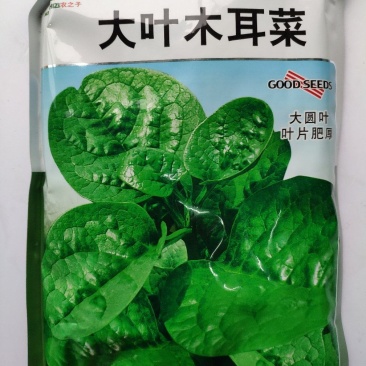 大叶木耳菜种子500克
