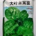 大叶木耳菜种子500克