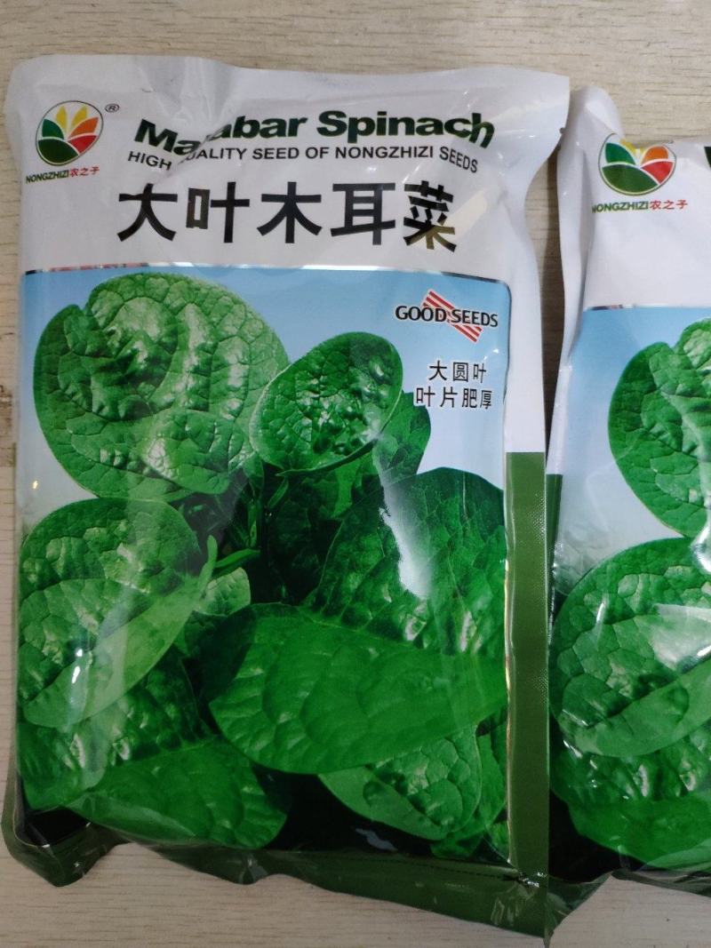 大叶木耳菜种子500克