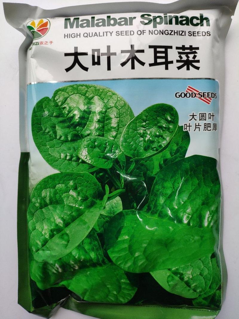 大叶木耳菜种子500克