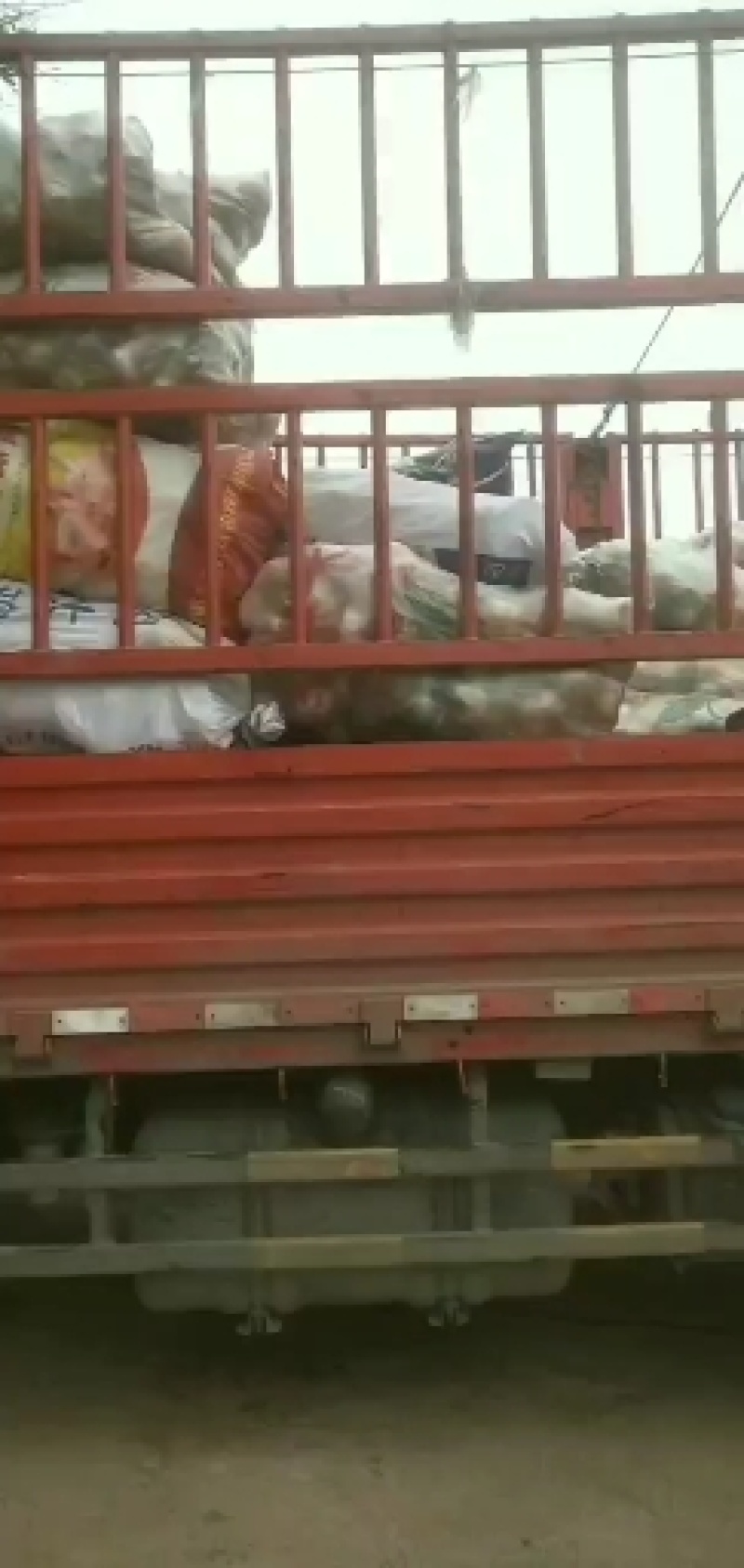 圆根罗卜，水晶罗卜质量好品质优口感甜又好吃。