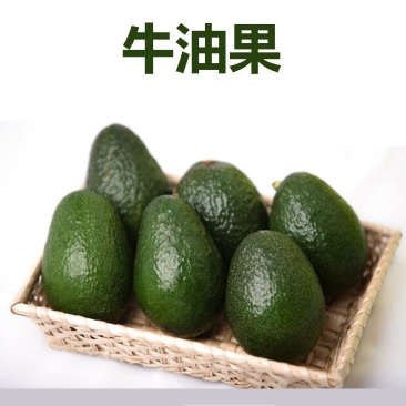 牛油果哈斯牛油果云南牛油果各种牛油果大量供应一件代发提供