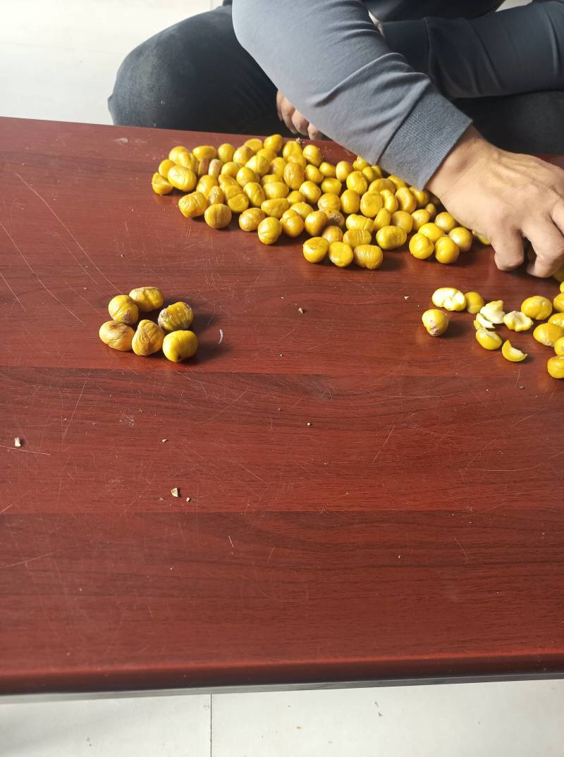 迁西3113炒户专用坏果包赔量大优惠