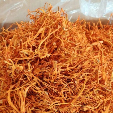 虫草花干货批发正品特级新鲜虫草-虫草花干货煲汤-新货无