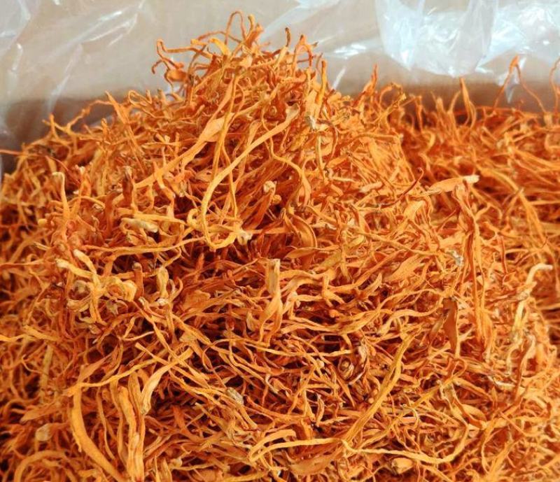 虫草花干货批发正品特级新鲜虫草-虫草花干货煲汤-新货无