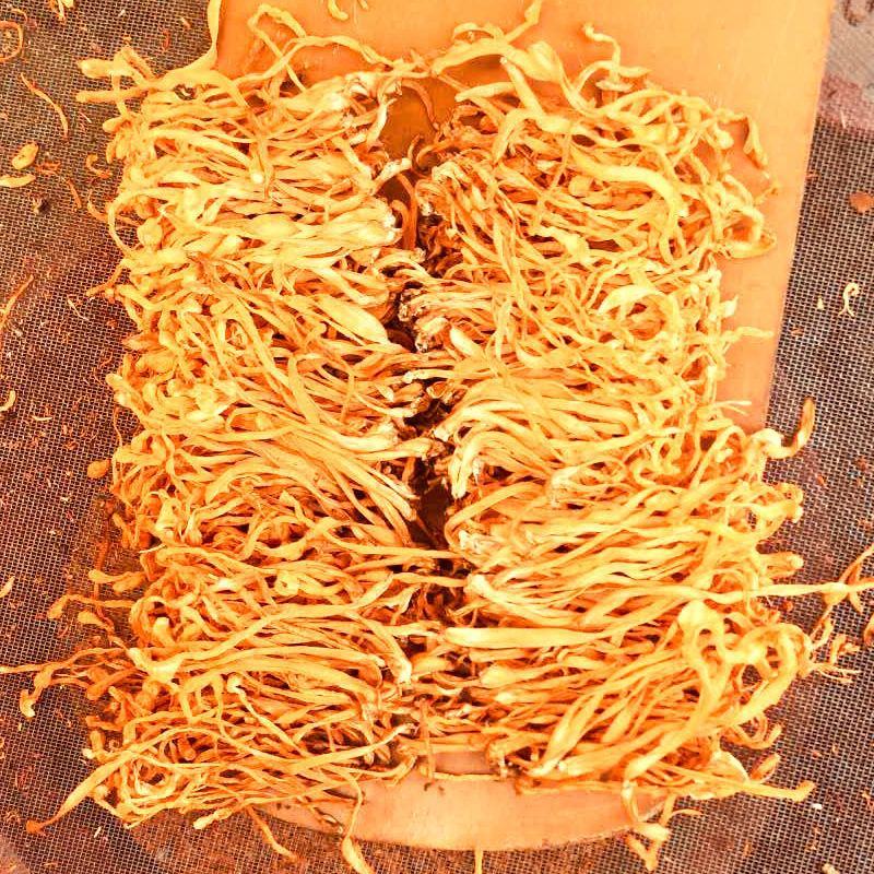 虫草花干货批发正品特级新鲜虫草-虫草花干货煲汤-新货无