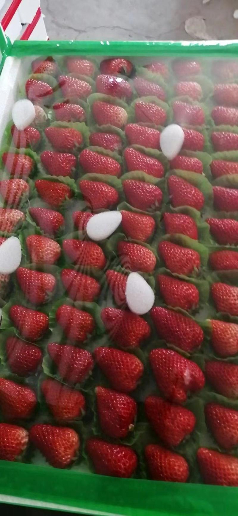 （电商专供）丹东红颜九九奶油草莓正宗丹东九九草莓产地直销