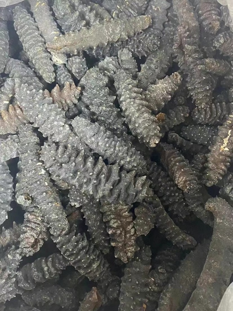 海参
