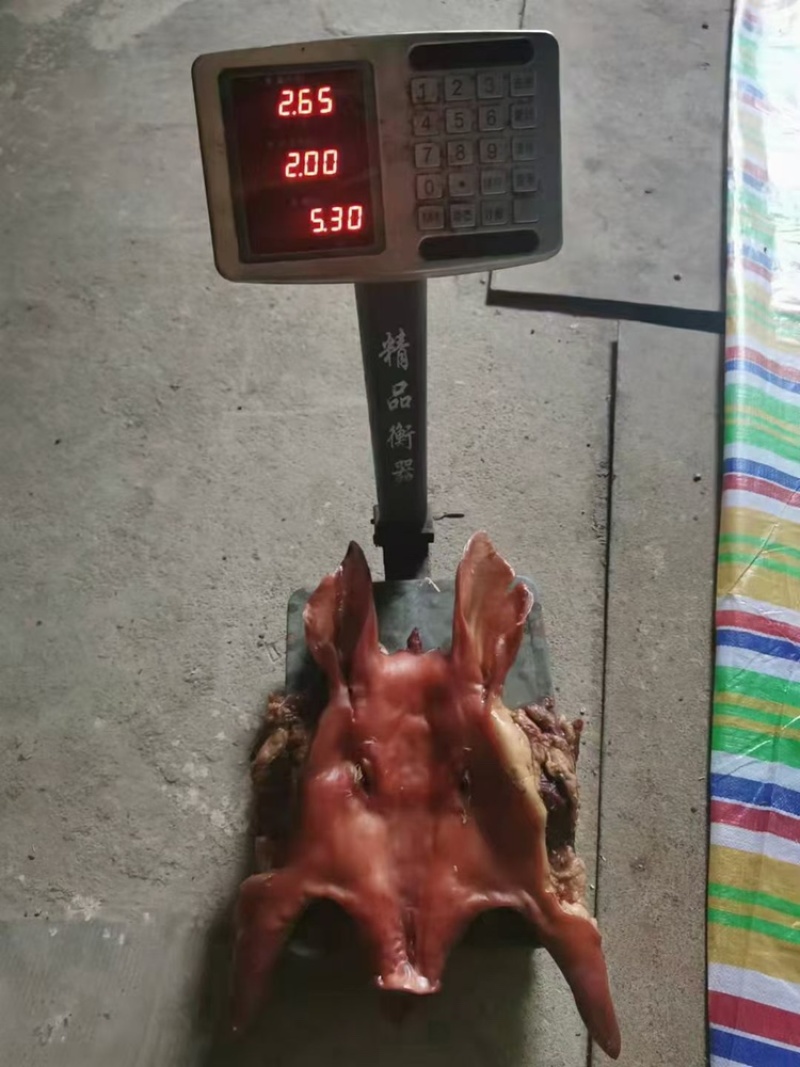 猪脸一只五斤左右，一件50斤，支持全国发货。