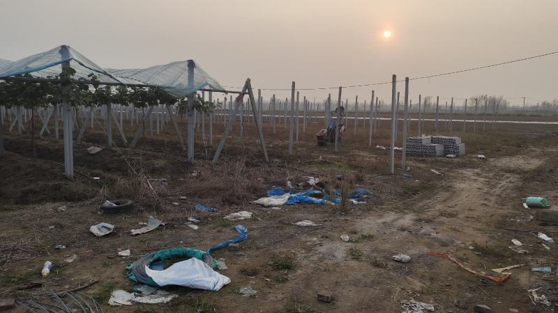 牛粪，已经完全发酵干牛粪，量大价优产地直供欢迎采购