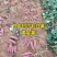 日本玛莎莉红薯黄金薯高甜度蜜薯预售2021年红薯苗