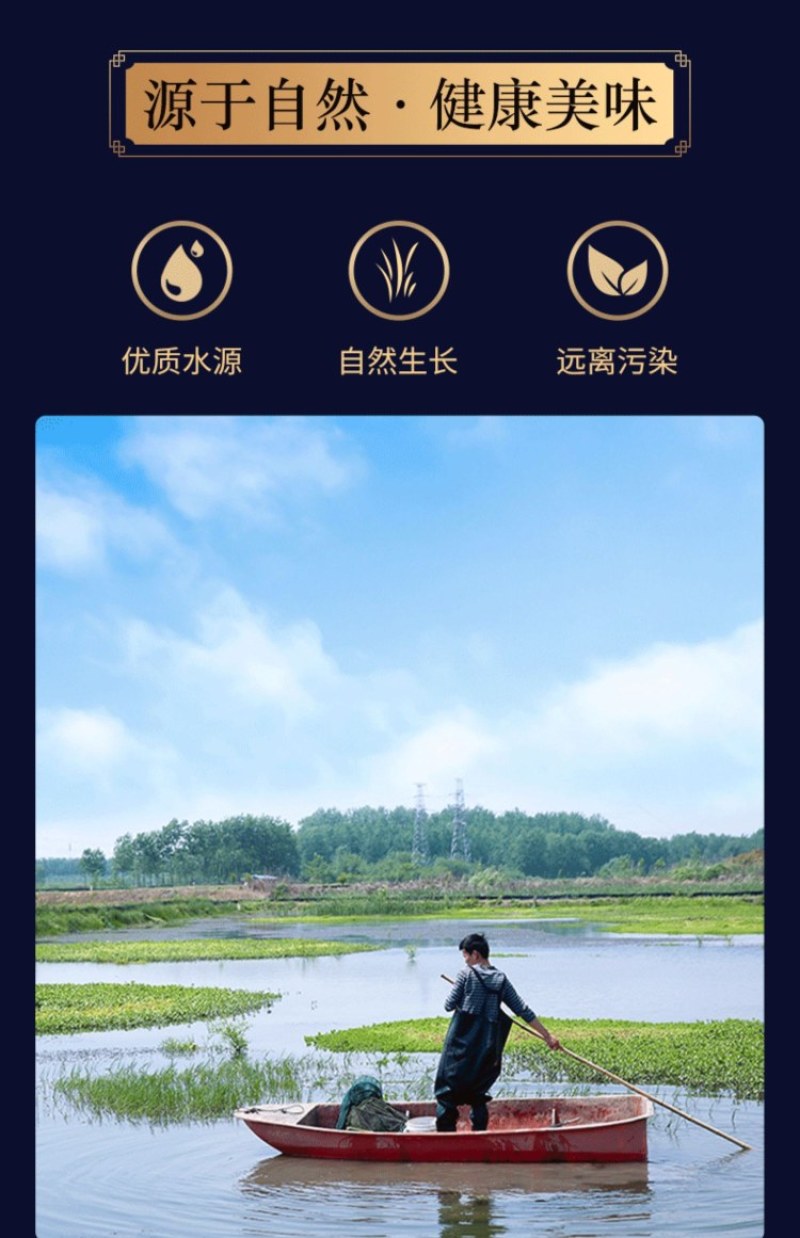 清水田螺