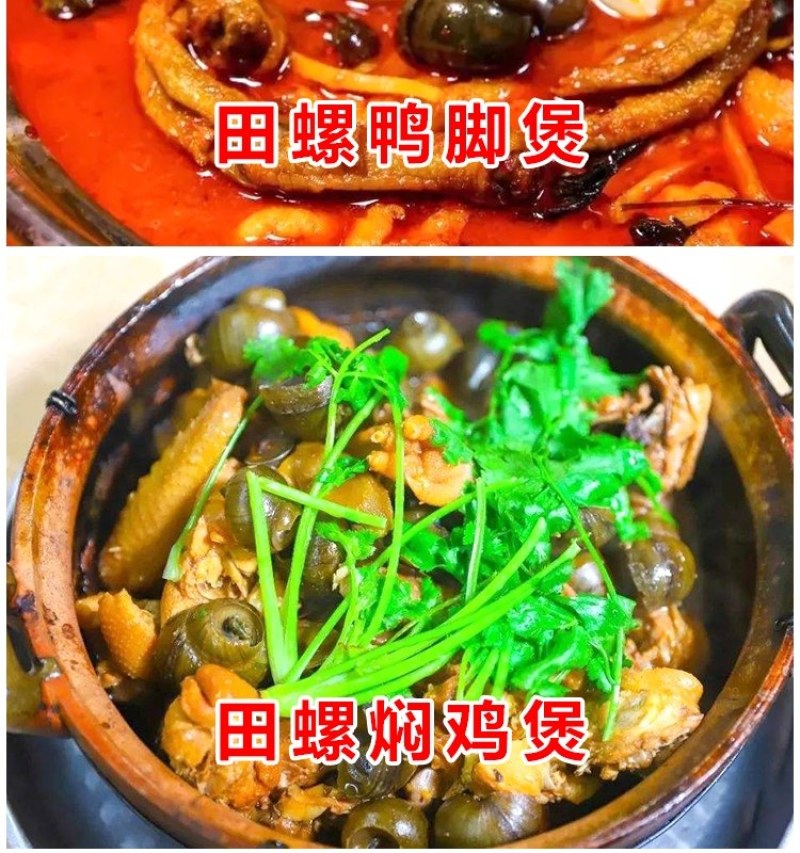 清水田螺