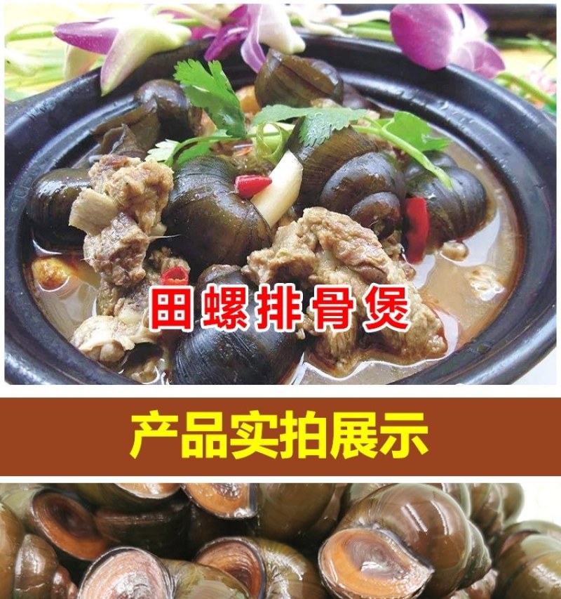 清水田螺