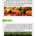 甲壳素海藻肥20kg桶肥生根壮苗根深叶茂缓苗快提地温快速
