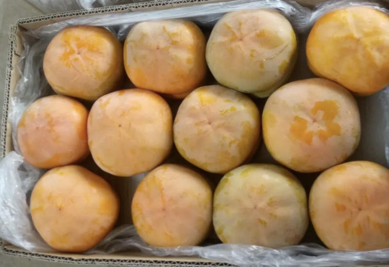 柿子3-4毛一斤，大量有货，批发零售电商超市