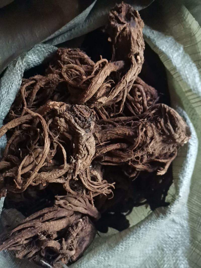 鄂西肉独活统货干个子