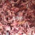 牛肉筋精修去油，有肉有筋纯干不含水分炖一斤能出八两