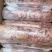 牛肉筋精修去油，有肉有筋纯干不含水分炖一斤能出八两
