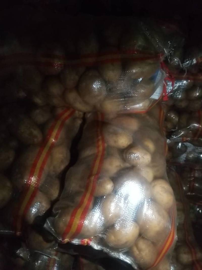 希森6号小土豆装车中