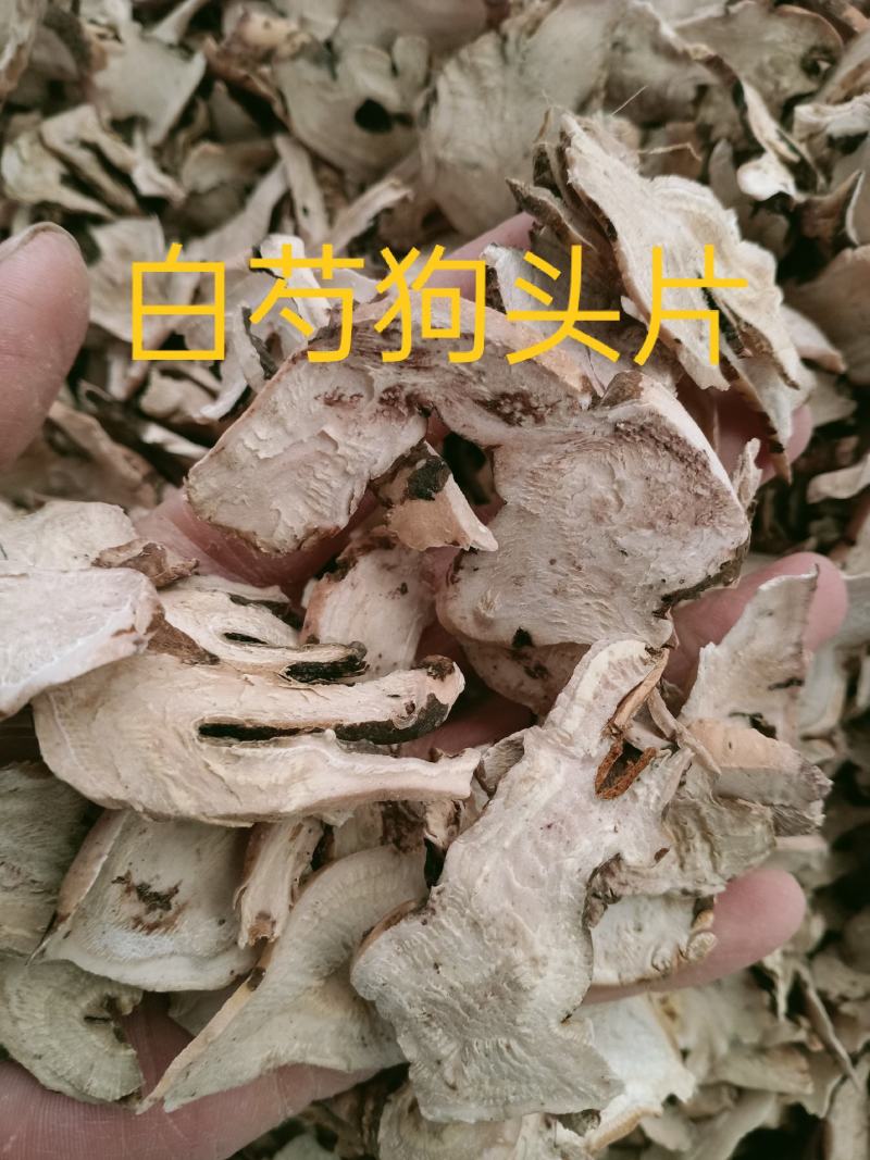 白芍，无硫白芍片，芍药片各种规格，欢迎咨询选购！