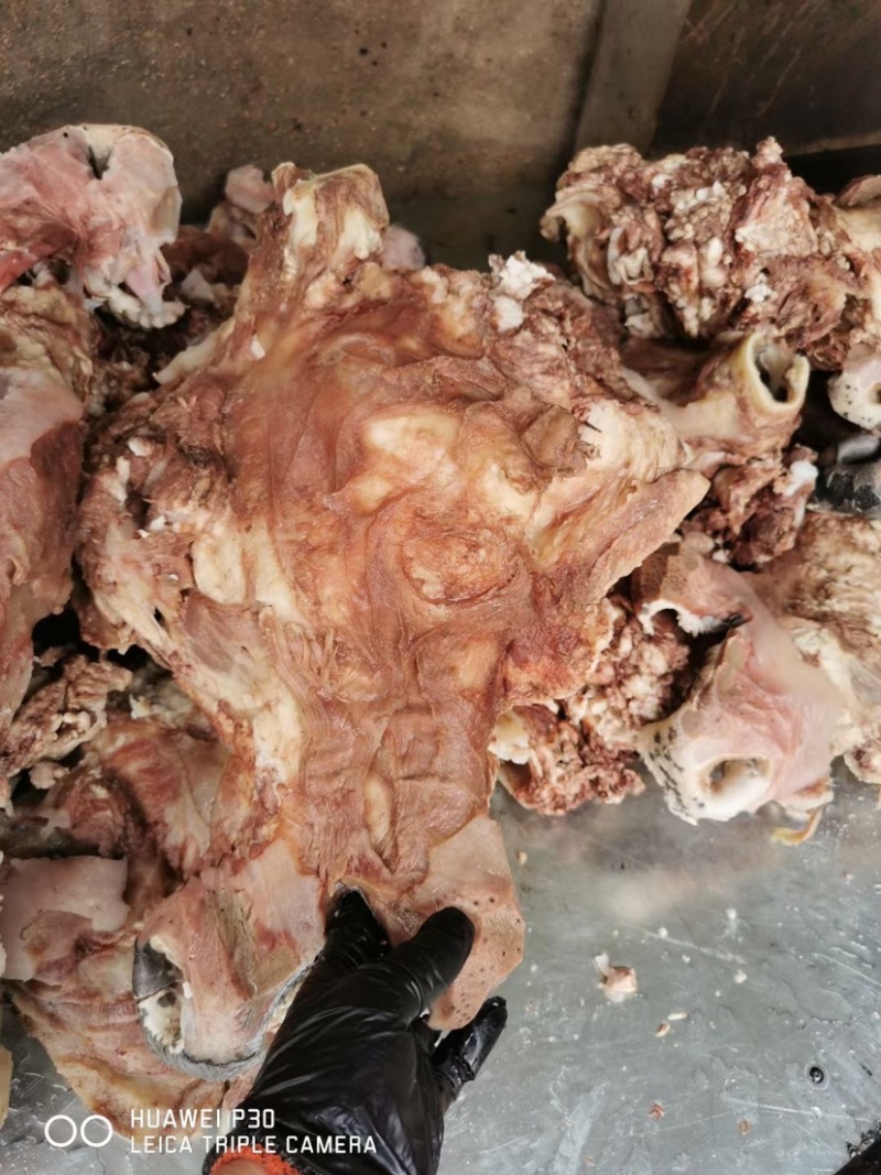 熟牛头肉，去皮，去骨，去油，质量保证，新鲜牛头去皮煮制