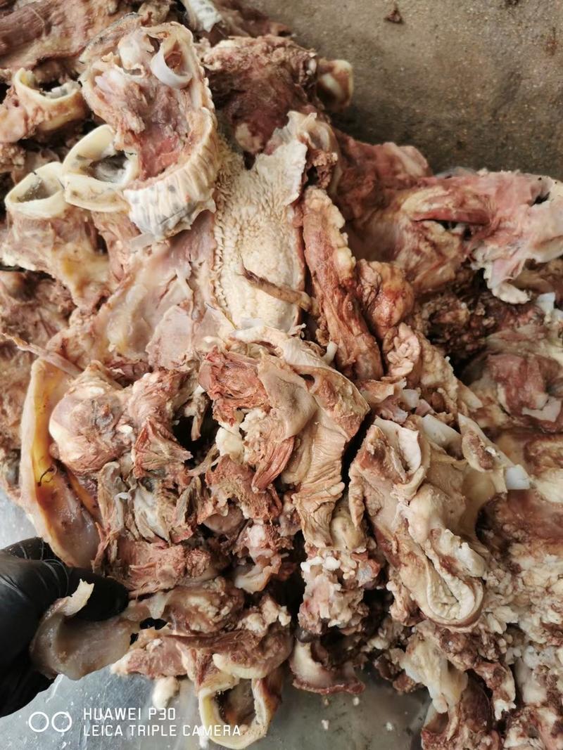 熟牛头肉，去皮，去骨，去油，质量保证，新鲜牛头去皮煮制