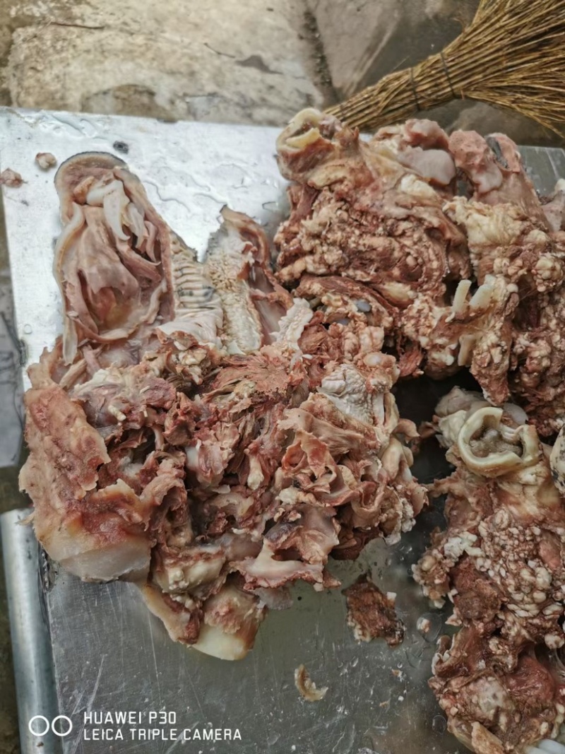熟牛头肉，去皮，去骨，去油，质量保证，新鲜牛头去皮煮制