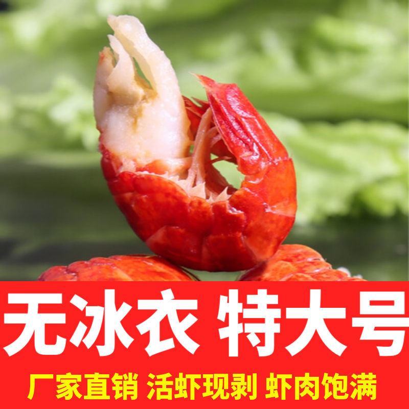 特大龙虾尾无冰衣大号虾球特级小龙虾麻辣小龙虾虾尾一箱批发